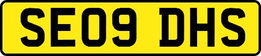 SE09DHS