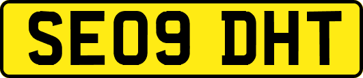 SE09DHT
