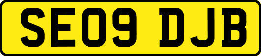 SE09DJB