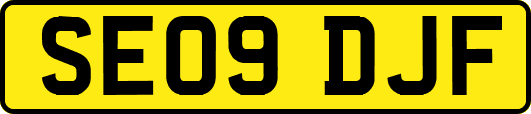SE09DJF