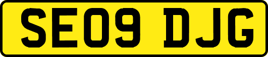 SE09DJG