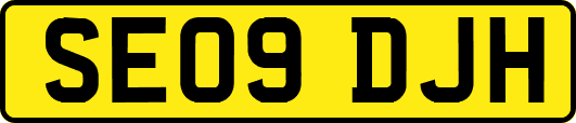 SE09DJH