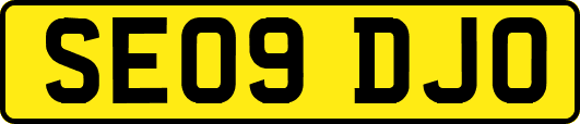 SE09DJO