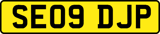 SE09DJP