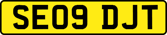 SE09DJT