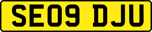 SE09DJU