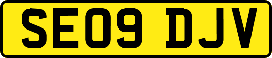 SE09DJV