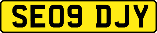SE09DJY