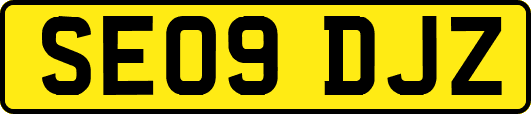 SE09DJZ