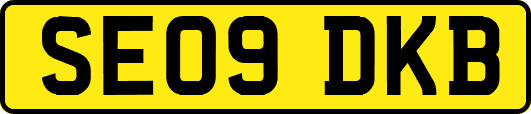 SE09DKB