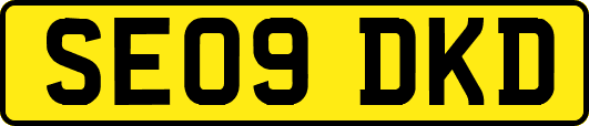 SE09DKD