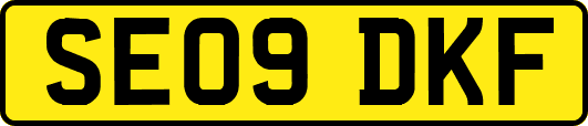 SE09DKF