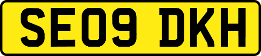 SE09DKH