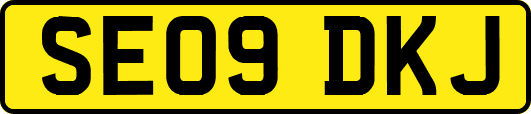SE09DKJ