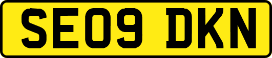 SE09DKN
