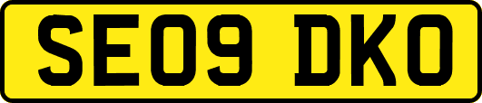 SE09DKO