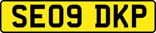 SE09DKP