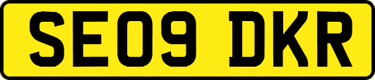 SE09DKR