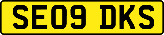 SE09DKS