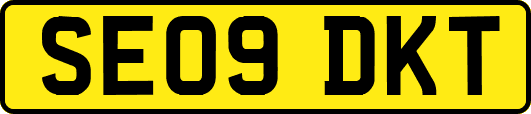SE09DKT