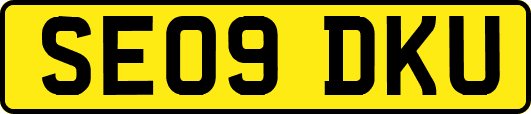 SE09DKU