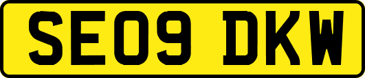SE09DKW