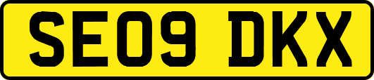 SE09DKX