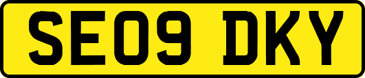 SE09DKY