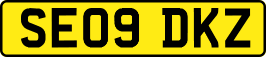 SE09DKZ