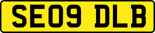 SE09DLB