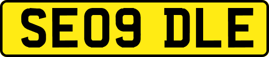 SE09DLE