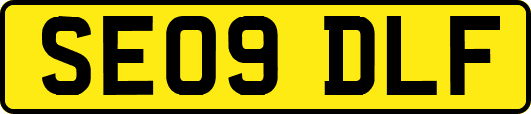SE09DLF