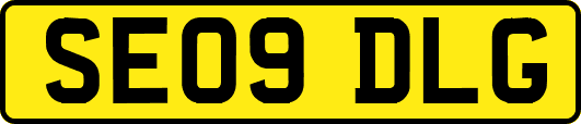 SE09DLG