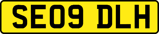 SE09DLH