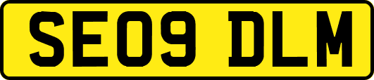 SE09DLM