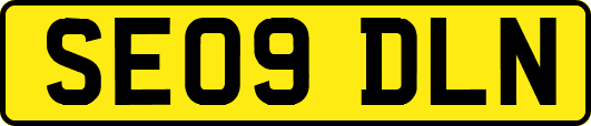 SE09DLN