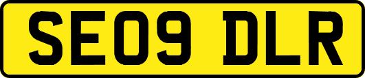 SE09DLR