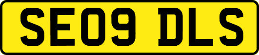 SE09DLS