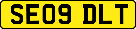 SE09DLT