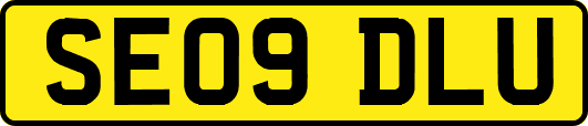 SE09DLU