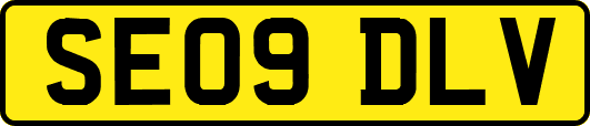 SE09DLV