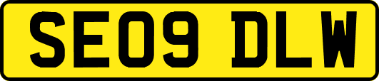 SE09DLW