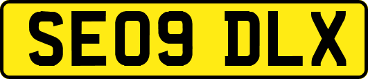 SE09DLX