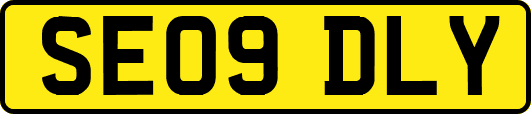 SE09DLY