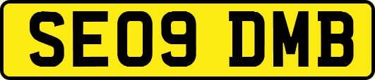 SE09DMB