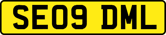 SE09DML