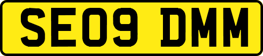 SE09DMM