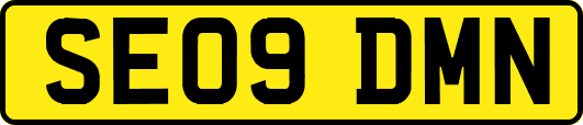 SE09DMN