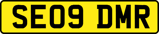 SE09DMR