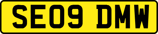SE09DMW